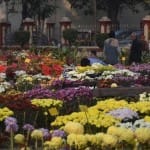 फूलों से महकेगी महामना की बगिया
