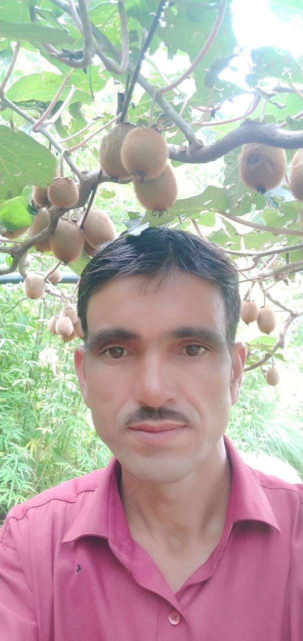 Modi will see Kangra's Kiwi, Honey and Shatke Mushroom