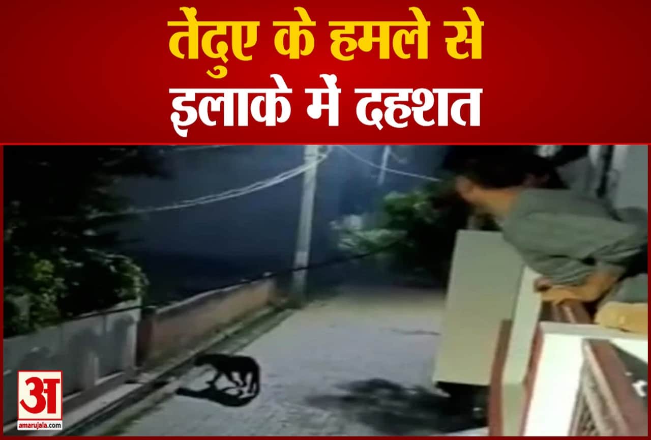 लखनऊ की खबर