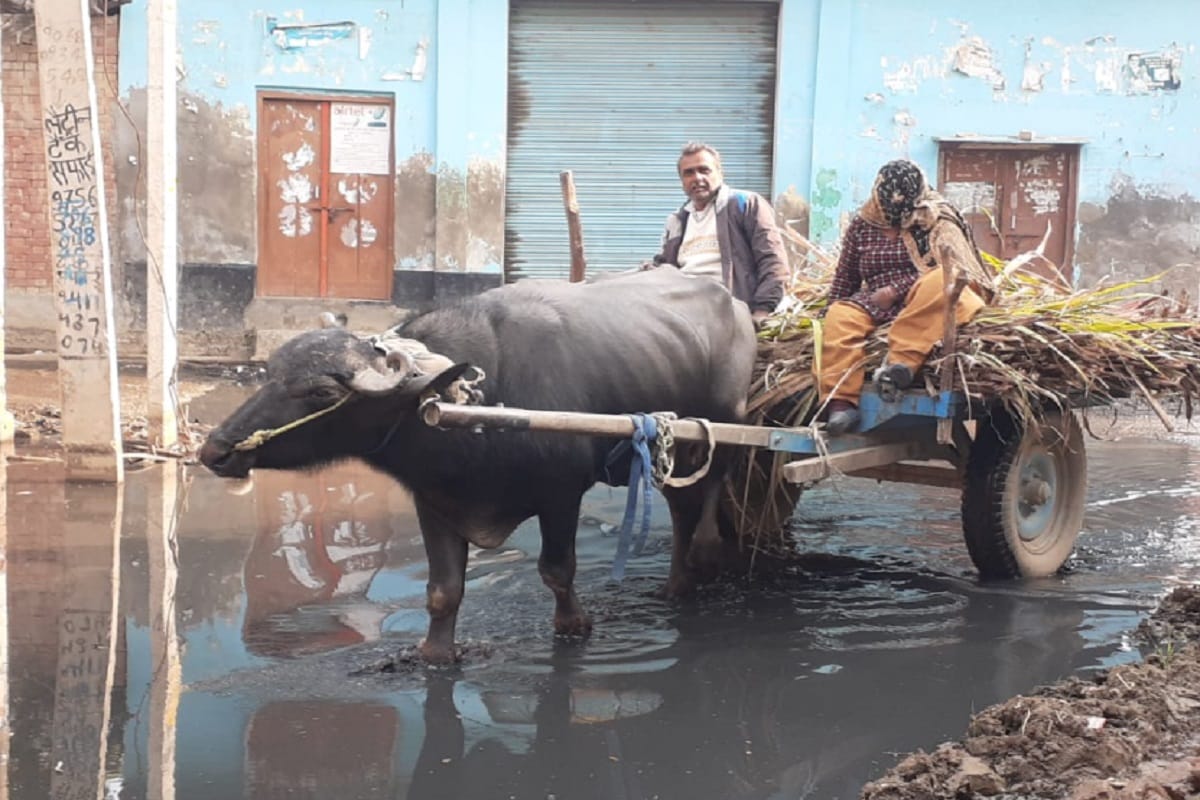 Malakpur village of Baghpat is known in the world but the villagers are troubled by the problem of water logging and see photos