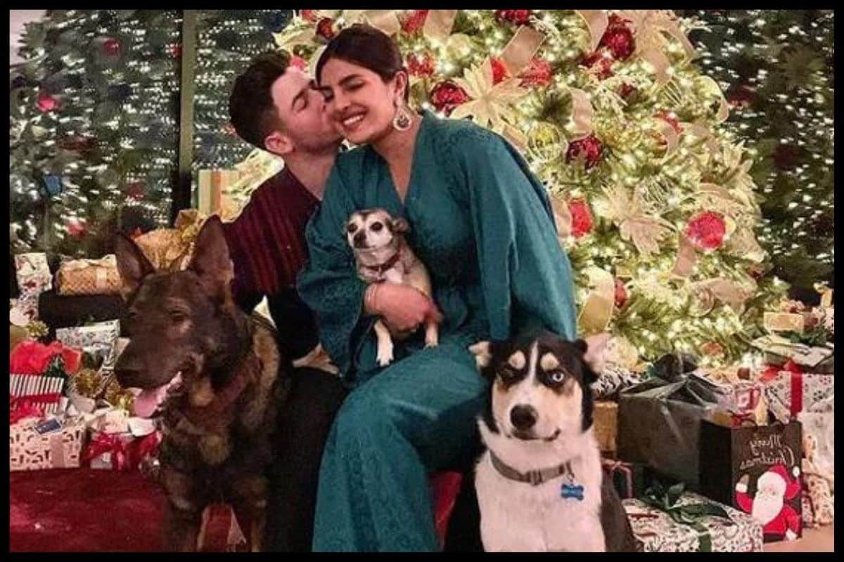 Merry Christmas 2021: From Kapoor Family, Shilpa, katrina kaif, vicky kaushal to Priyanka, these celebs celebrated Christmas see pics