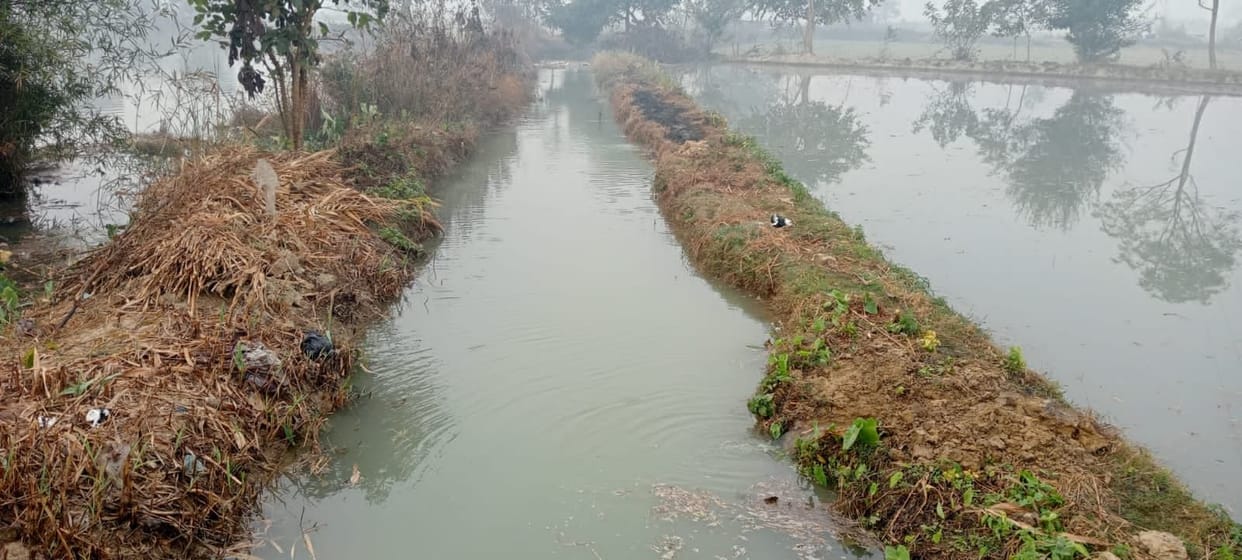 rajwaha cut