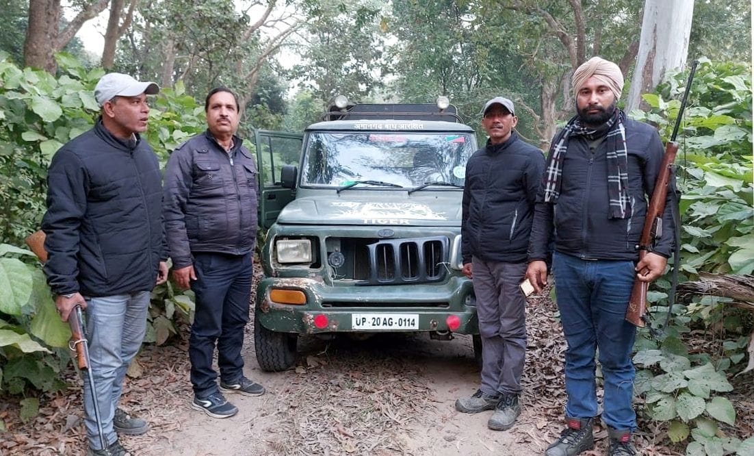 The tigress attacked the ranger's car patrolling the forest