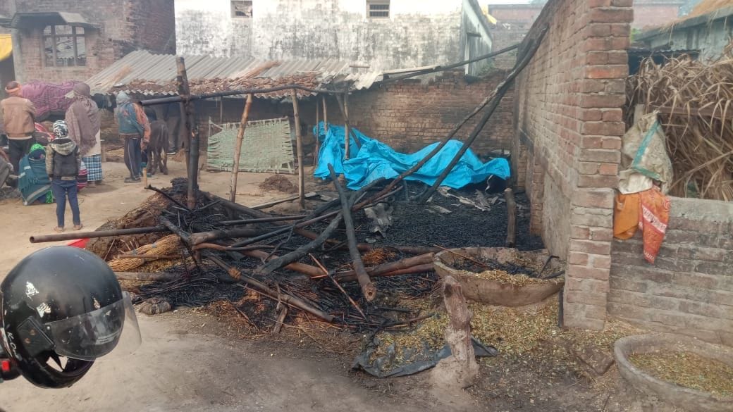 two animal died on fire