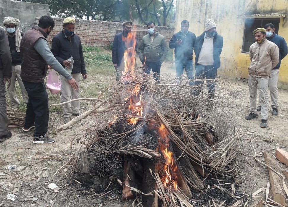 Leopard died due to pneumonia, dead body kept rotting for six days