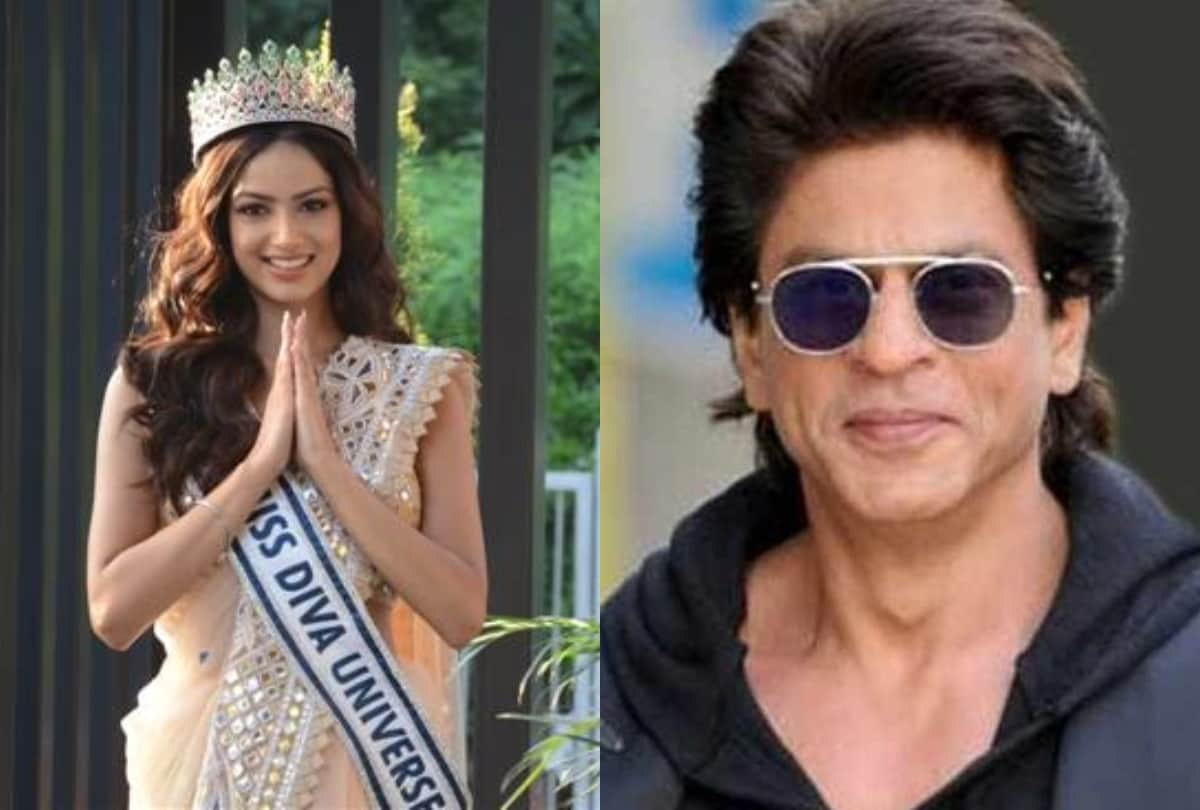 salman khan hospitalized snake bite richa chadha ali fazal marriage in march harnaaz sandhu work with shahrukh khan  top 10 entertainment