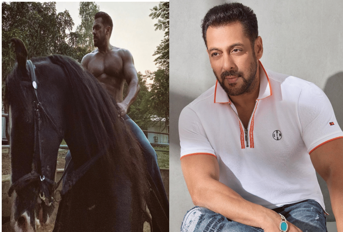 salman Khan Panvel Farmhouse having all the luxuries comfort and also has  amazing natural beauty in Panvel Farmhouse