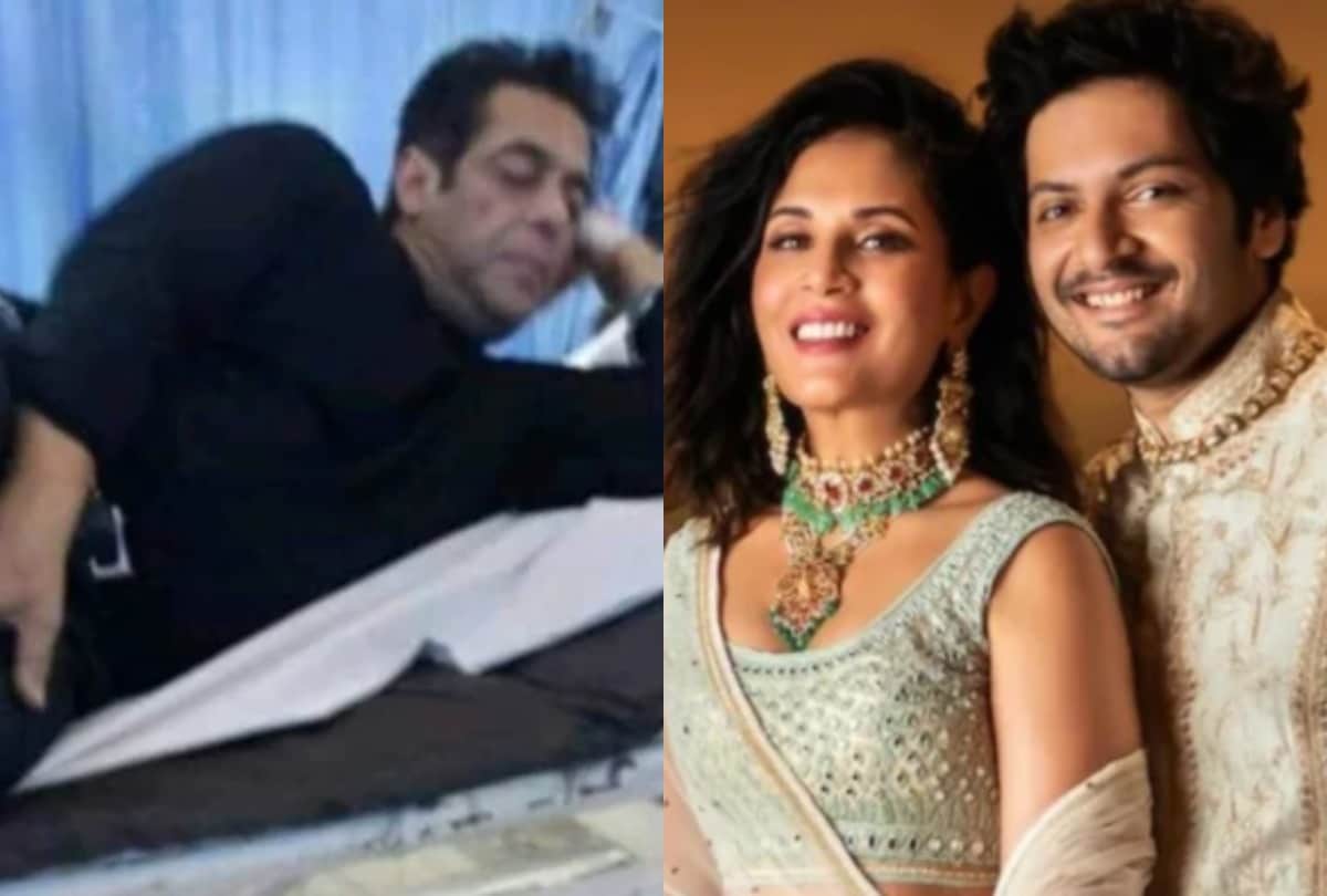 salman khan hospitalized snake bite richa chadha ali fazal marriage in march harnaaz sandhu work with shahrukh khan  top 10 entertainment