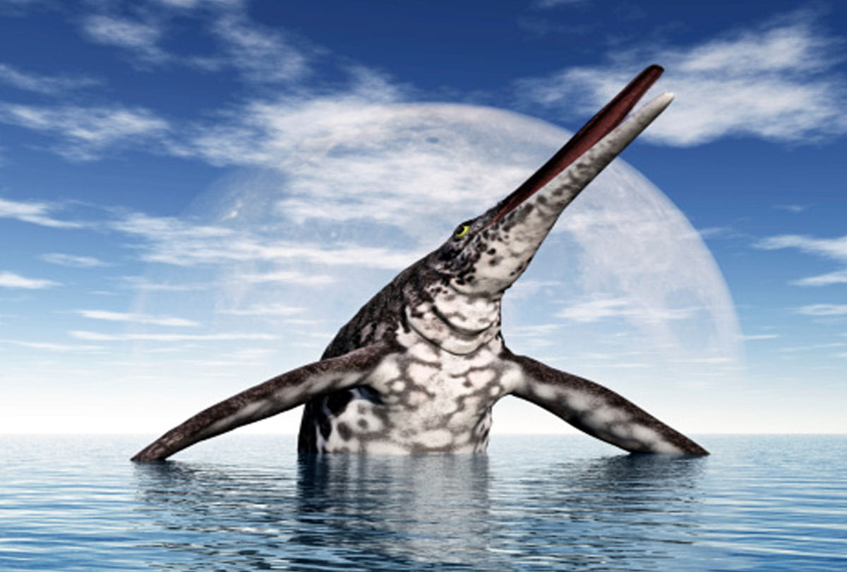 discovered triassic sea monster in nevada us worlds scientist shocked