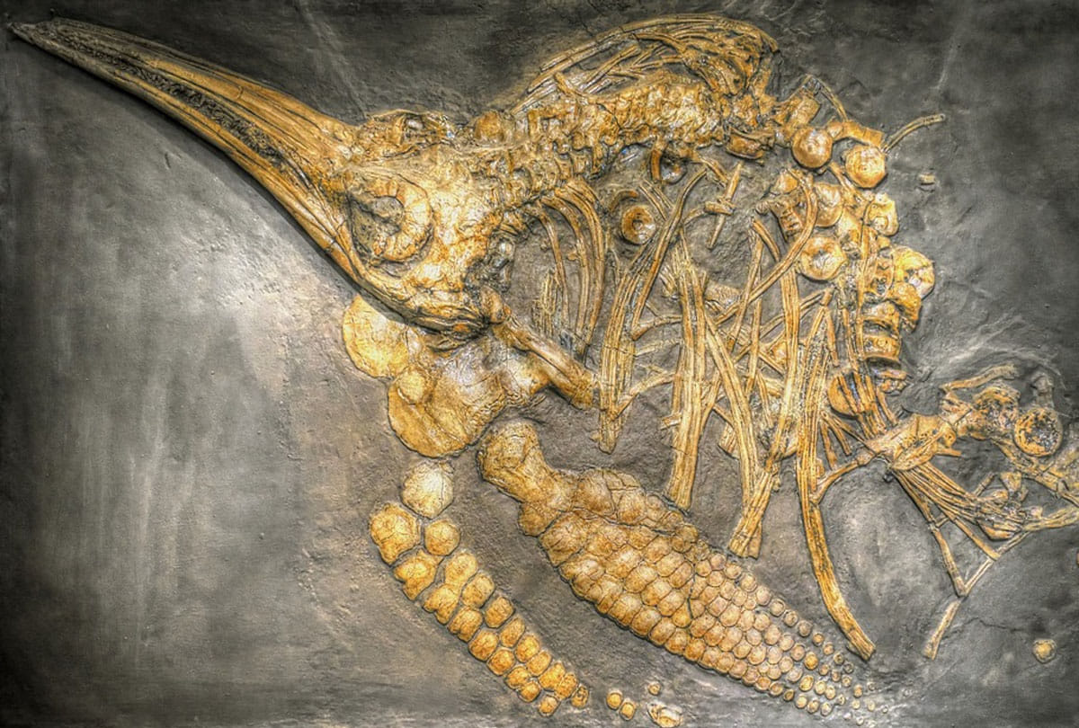discovered triassic sea monster in nevada us worlds scientist shocked