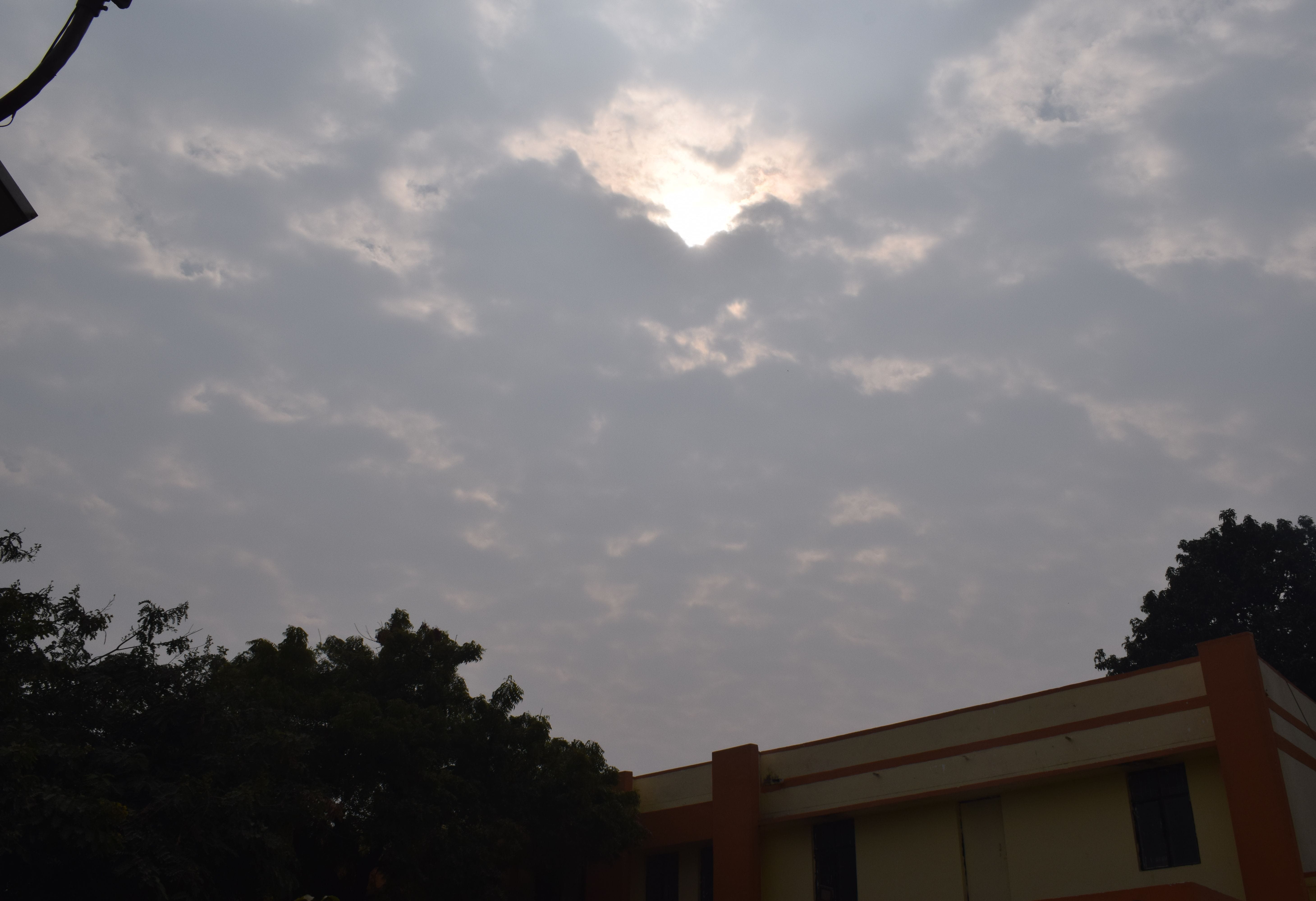 The sunshine brought relief from winter, the minimum temperature was 12 degrees