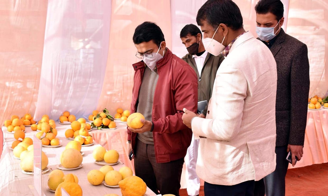 'Make a concrete plan for good packaging of products'