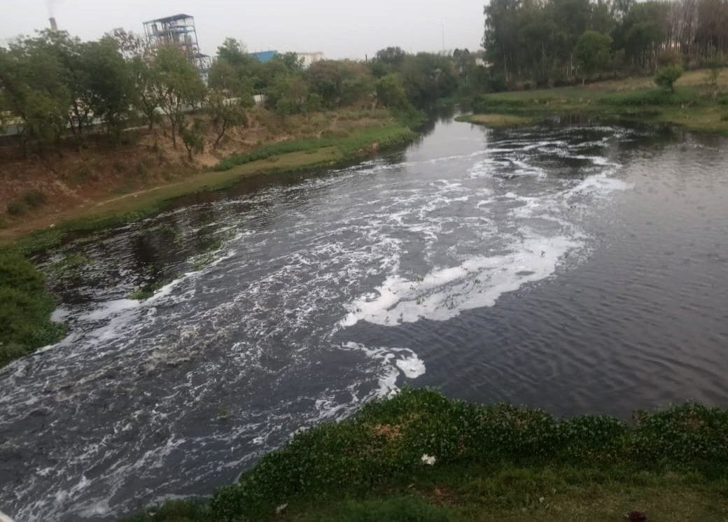Aligarh: Improvement in the water quality of Kali river