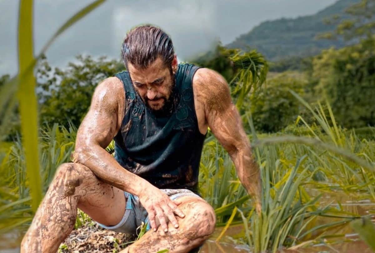 Salman Khan on snake bite I told my father both Tiger and snake are alive