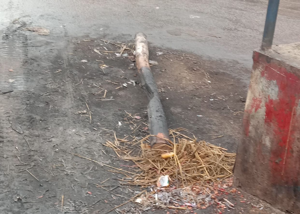 Green wood smoldering bonfire at district headquarters
