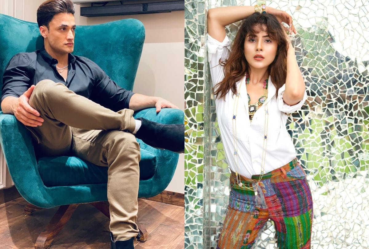 Bigh boss 13 fame Asim Riaz reveal the truth of his tweet Said in the post there is no connection with Shehnaaz Kaur Gill