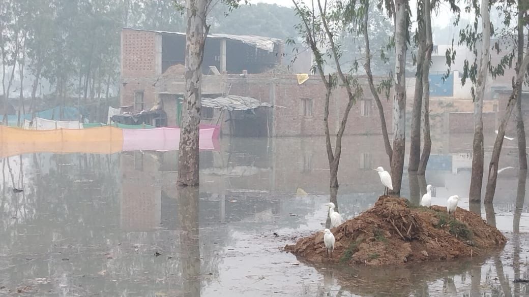 Water entered houses due to canal cut