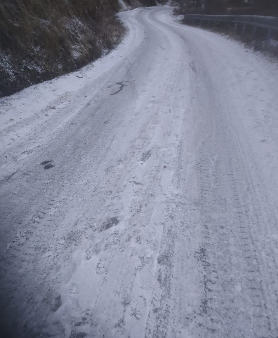 Diet of Horse for Winter