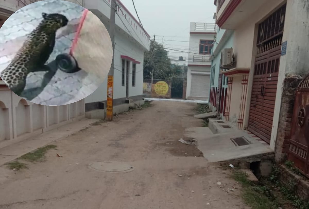 People are scared of leopard in Kalyanpuri in Lucknow.