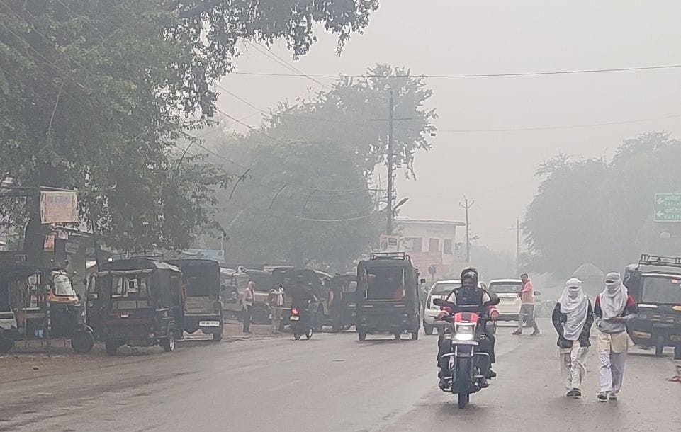 The faces of farmers blossomed due to rain