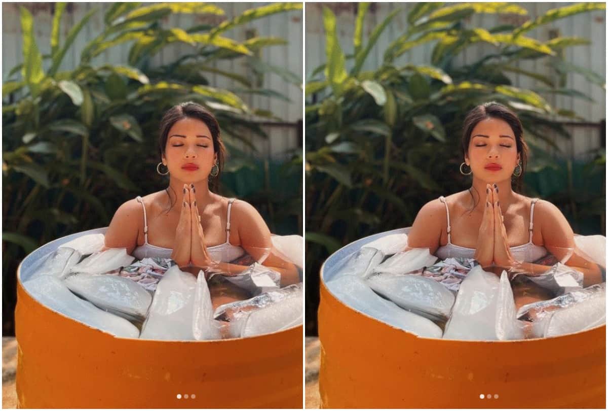 Shah Rukh Khan's Fan co-star Megha Gupta's bold shower photos in blue bikini goes viral