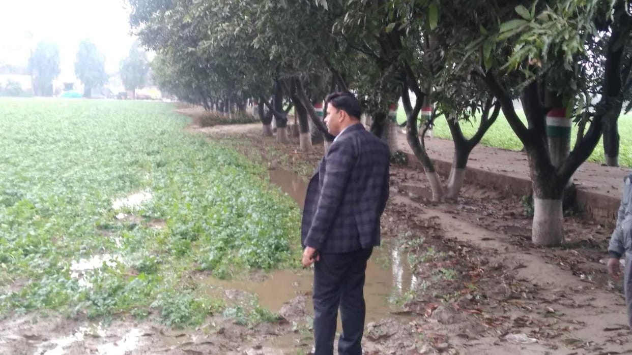 Potato production may be affected