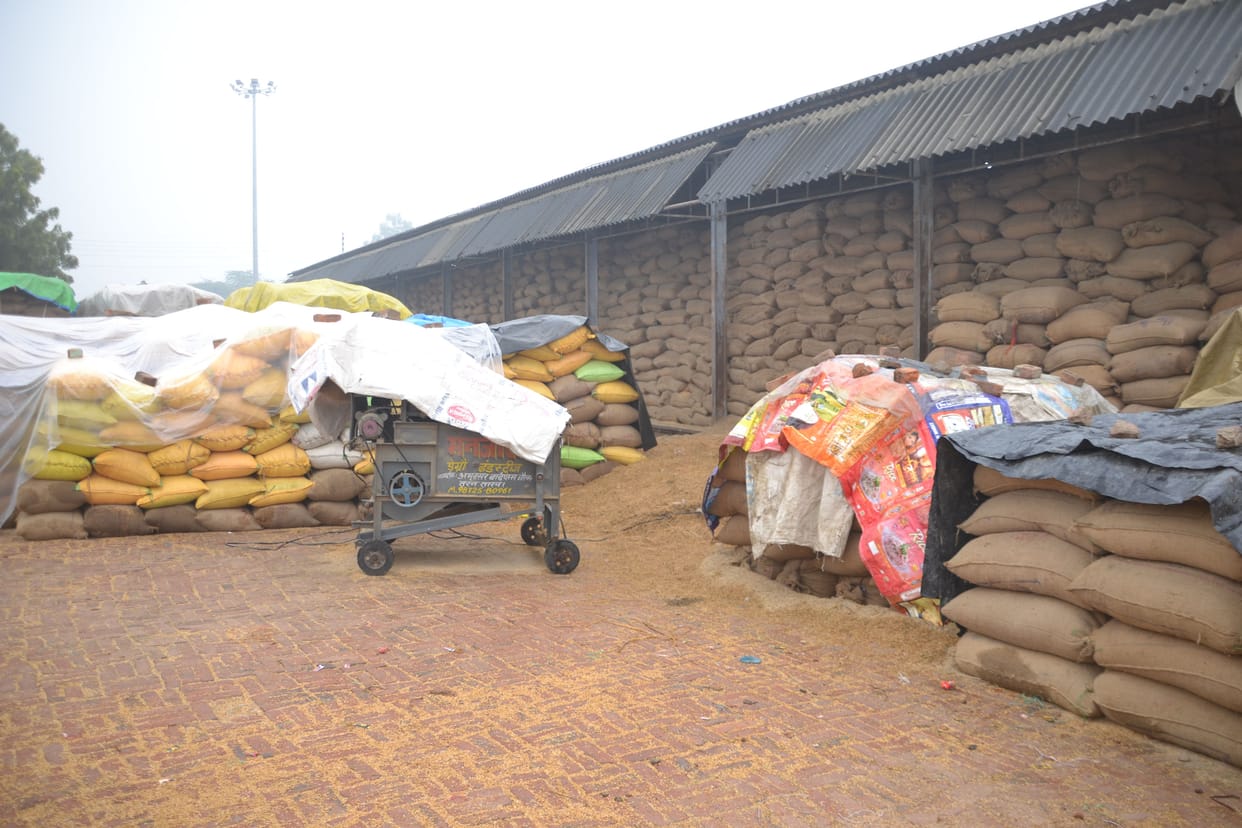 Paddy was not purchased due to rain