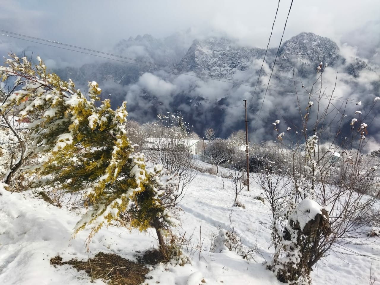 Summer Travel Guide: Best Hill Station Places to Visit During Summer Season