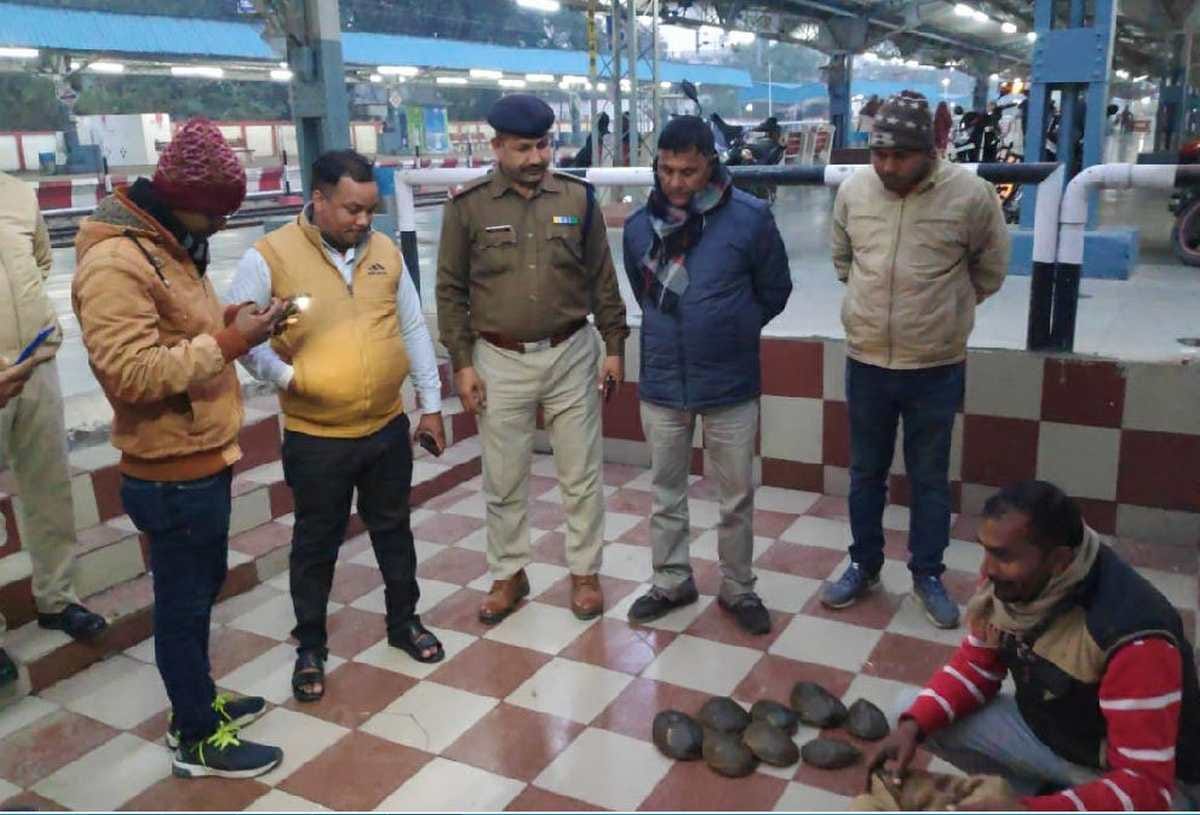 31 live turtles being smuggled in the train
