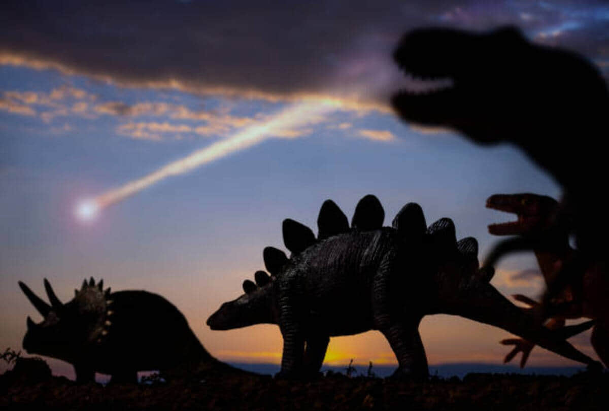 long darkness on earth because of Asteroid rain from space dinosaur kills