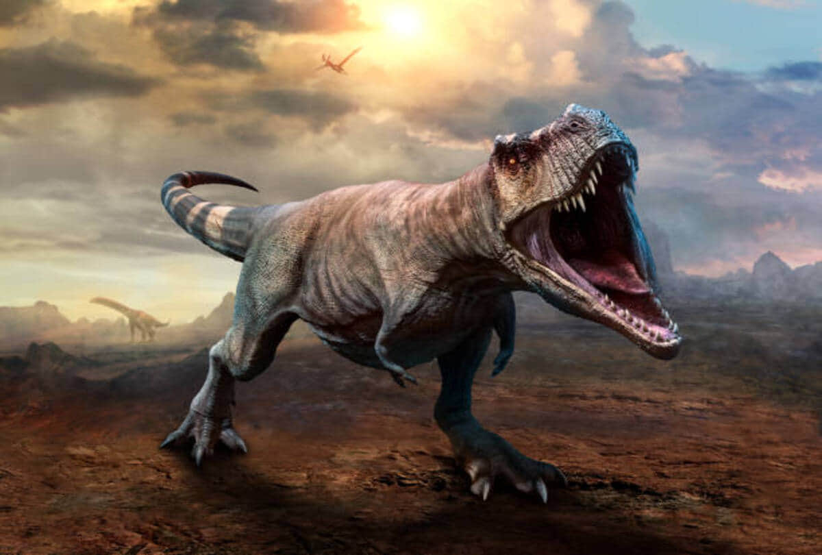 long darkness on earth because of Asteroid rain from space dinosaur kills