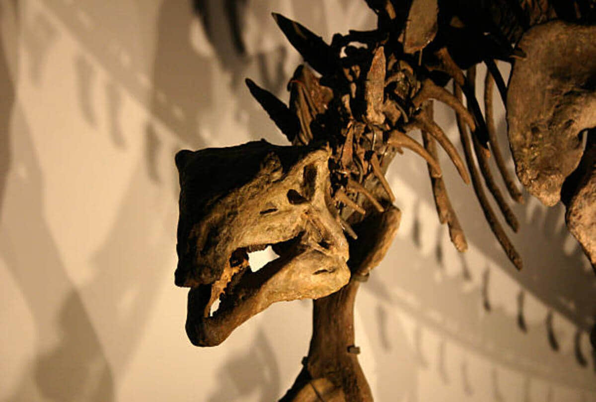 long darkness on earth because of Asteroid rain from space dinosaur kills