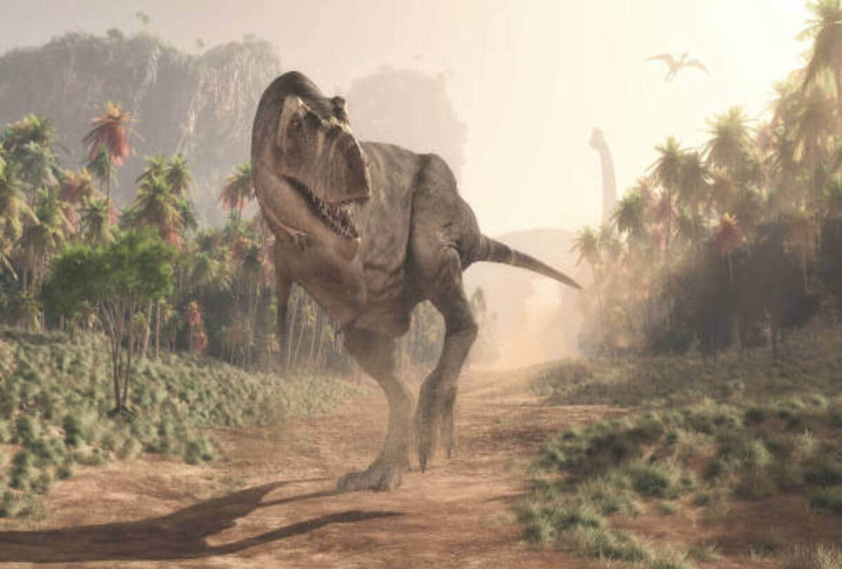 long darkness on earth because of Asteroid rain from space dinosaur kills