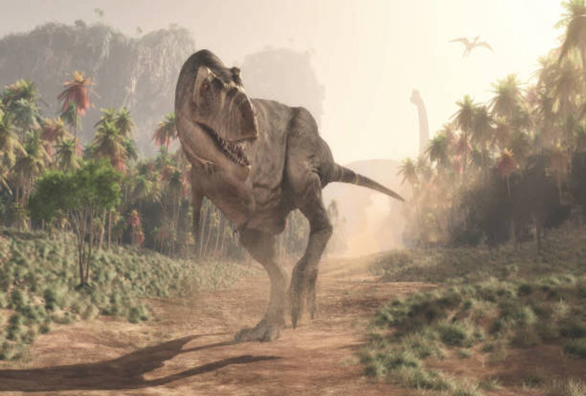 long darkness on earth because of Asteroid rain from space dinosaur kills