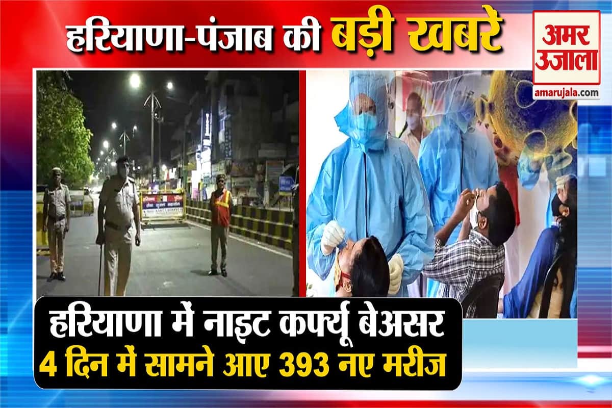 हरियाणा न्यूज