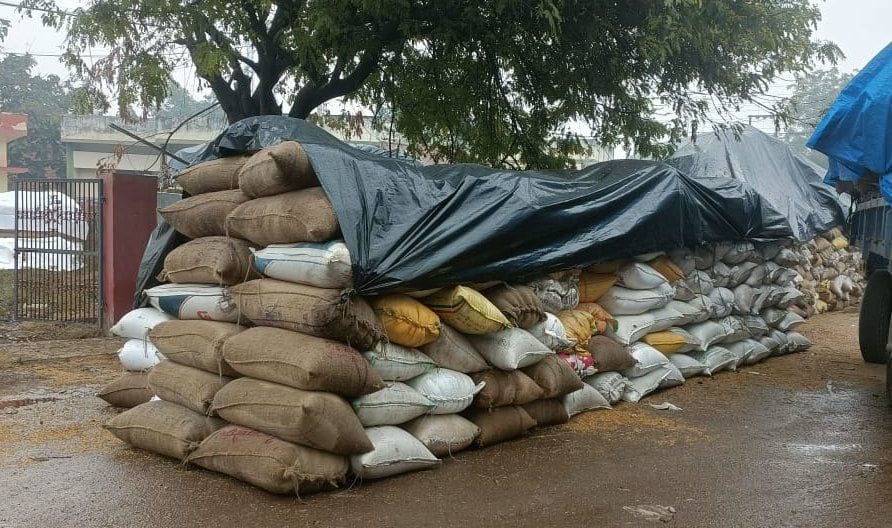 Hundreds of quintals of paddy got soaked at the purchasing centers