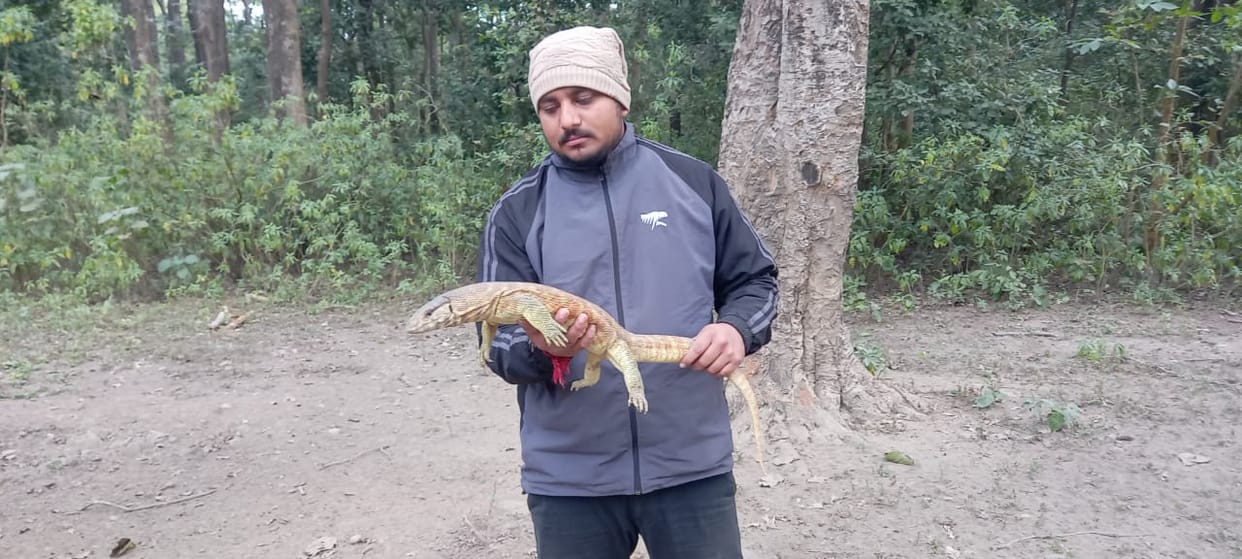 Rescued the yellow venom skull and released it in the forests