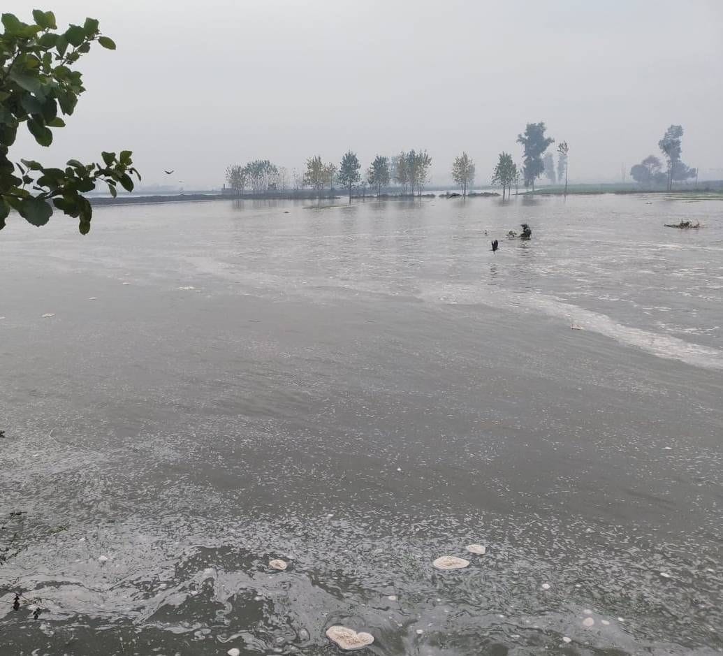 Mamaur lake broken after overflowing, hundreds of bighas of wheat and vegetable crops submerged