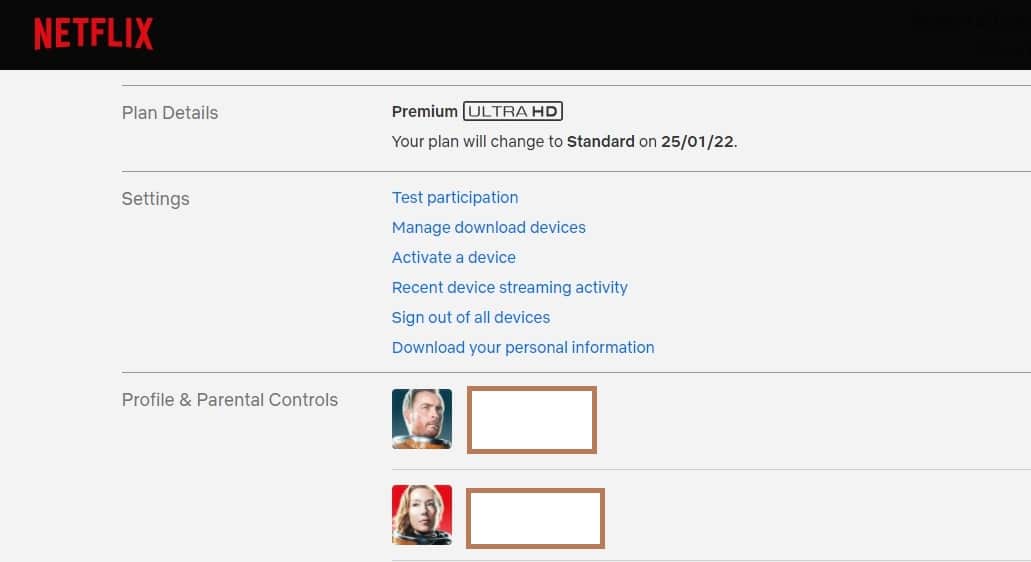 Netflix subscription plans automatic monthly payment done if you are not careful while renewing