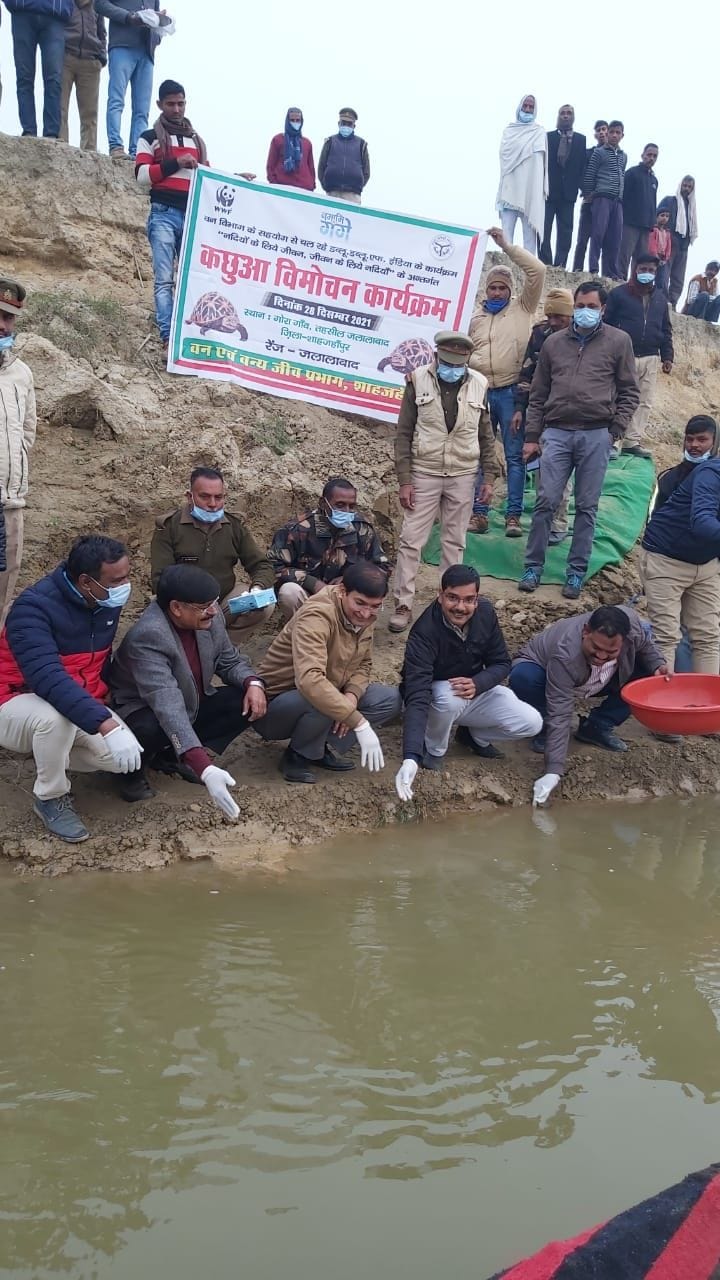 'Turtles contribute to keeping the river clean'