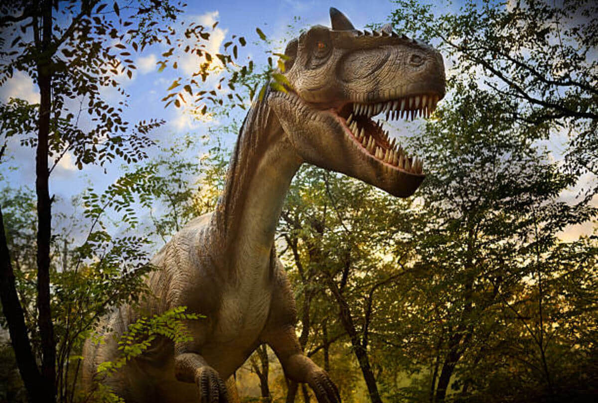 long darkness on earth because of Asteroid rain from space dinosaur kills