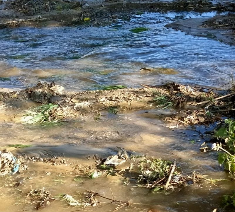 Water Logging in Chaukhutiya