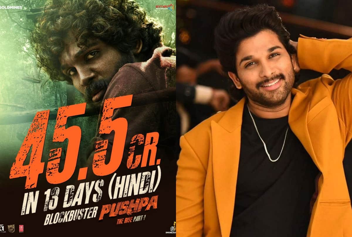 Allu Arjun Film Pushpa Part 1 Beaks  records of Yash’s KGF