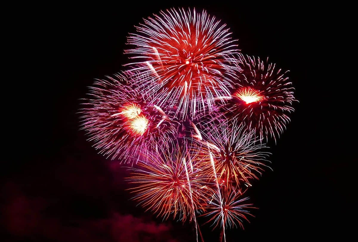 happy new year 2022 why celebrate new-year on 1 january know what is the history
