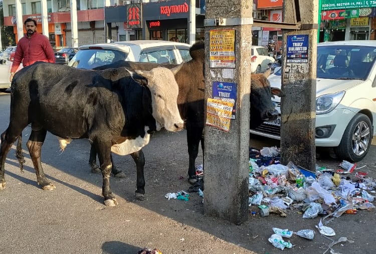 Panchkula Municipal Corporation has not fulfilled many promises in 2021
