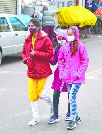 Terai shivering due to cold wave, 10.4 mm of rain with strong wind