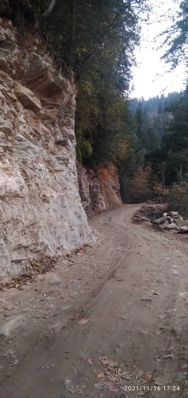 Potholes lying at various places on Rampur-Rohru road