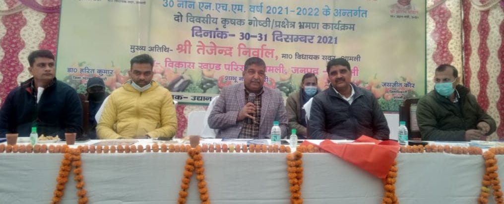 Promote horticulture instead of traditional crops