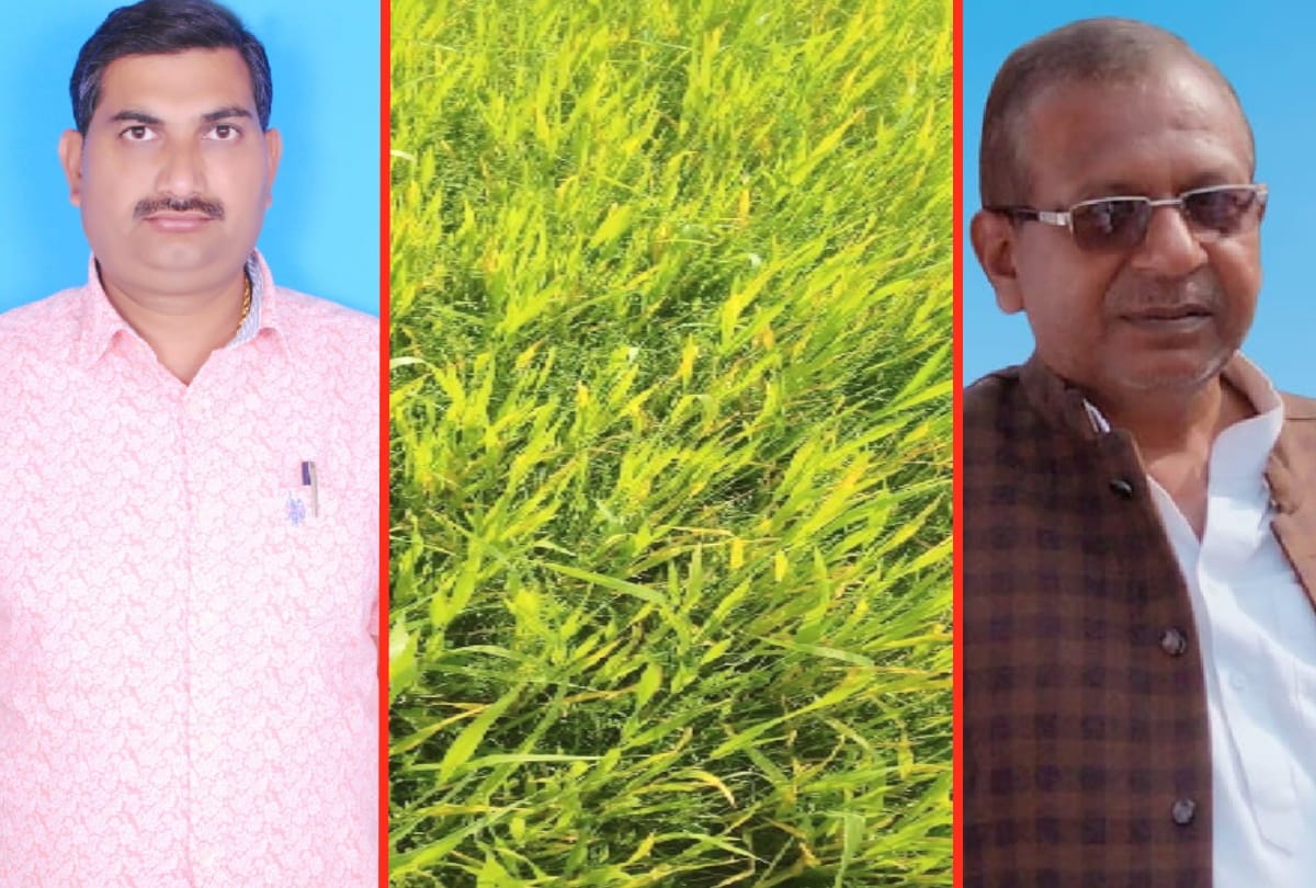 Rainy weather in Gorakhpur Smile on face of farmers due to rain