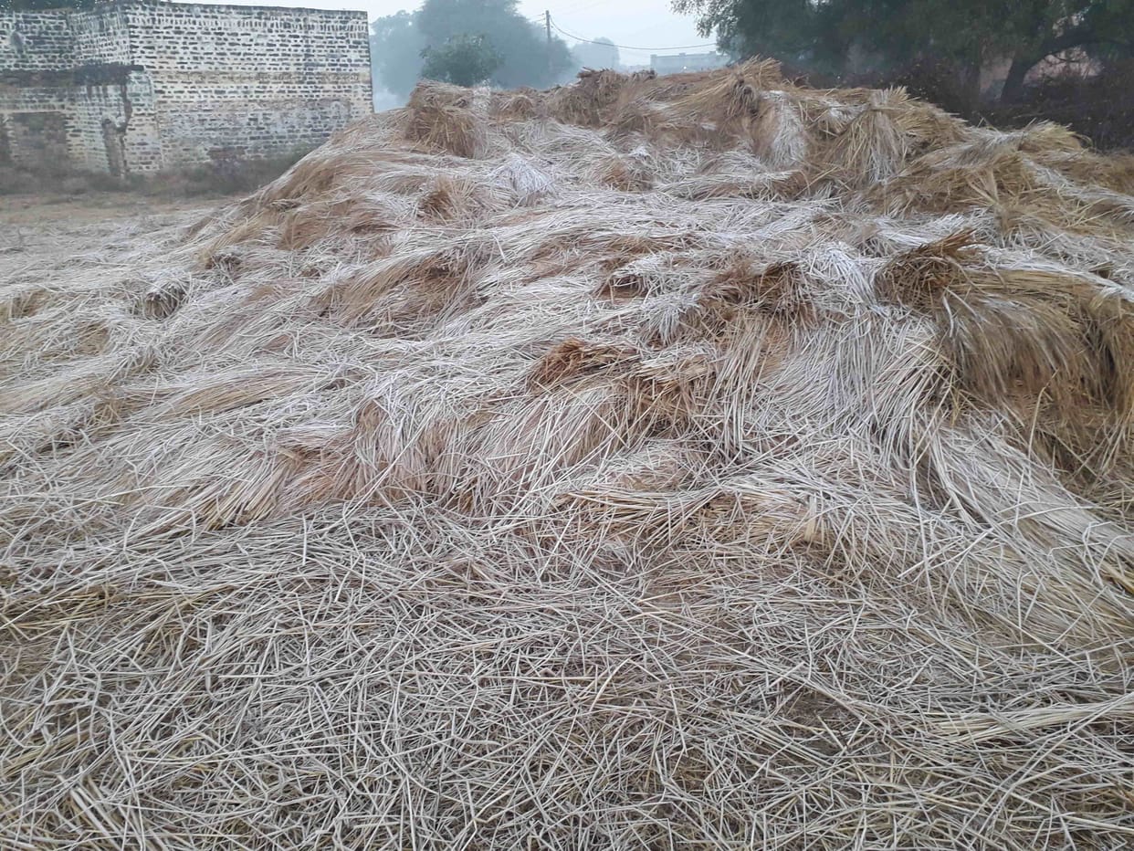The cold started, the frost started freezing, the minimum temperature reached four degrees